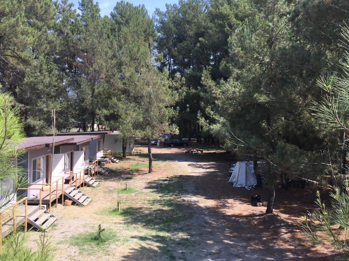 Mini-Hotel Forest Club Pitsunda Exterior foto